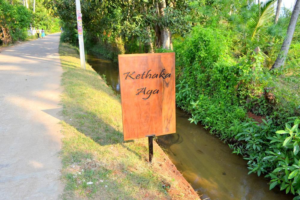 Hotel Kethaka Aga Tissamaharama Exterior foto